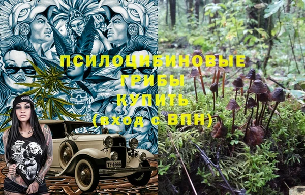 таблы Козловка