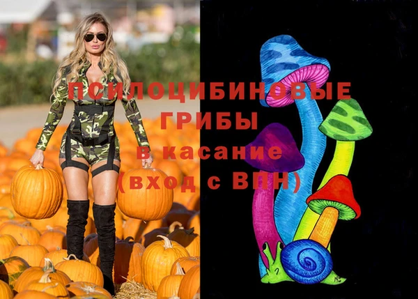 таблы Козловка